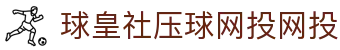 五大联赛积分榜速查_英超西甲德甲意甲法甲排名、战绩与赛程查询